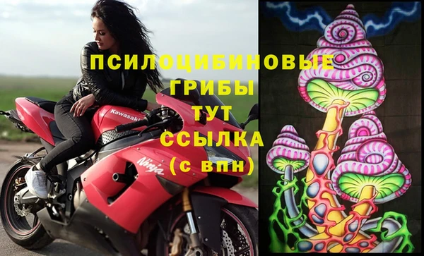 крисы Белоозёрский