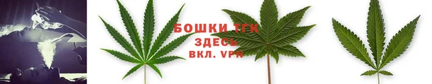 твердый Белокуриха