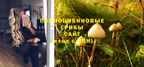 спайс Беломорск