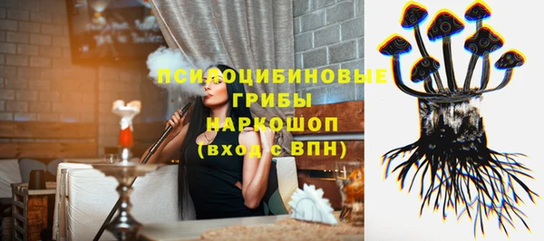 крисы Белоозёрский