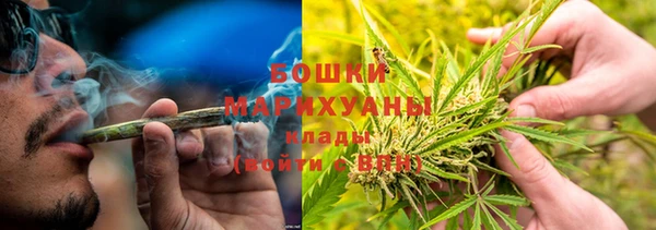 крисы Белоозёрский