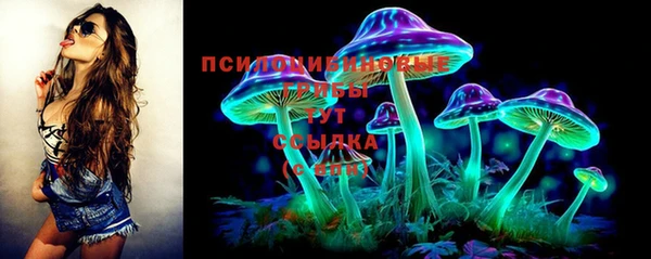 крисы Белоозёрский