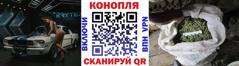 Марихуана сатива  Высоцк 